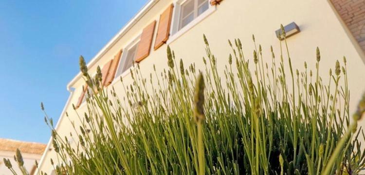 Ferienwohnung Studio Apartman Dado Bale Exterior foto