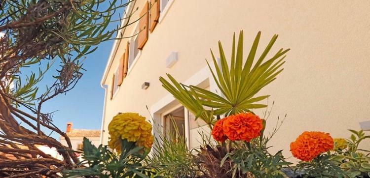 Ferienwohnung Studio Apartman Dado Bale Exterior foto